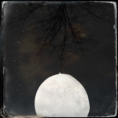 {image}