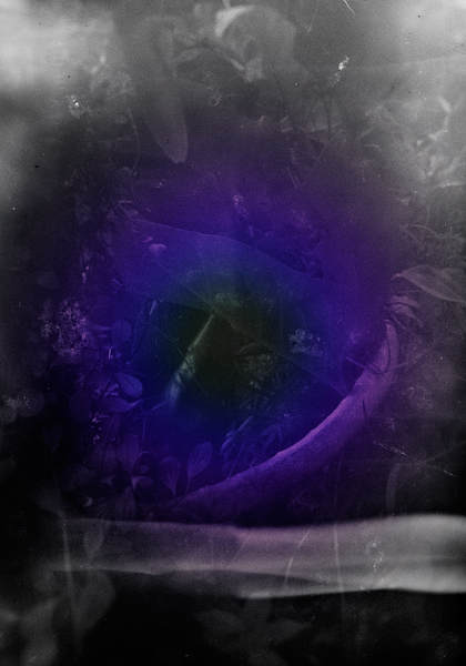 {image}